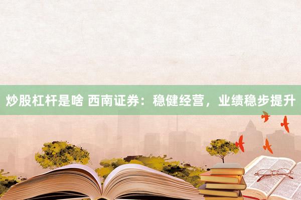 炒股杠杆是啥 西南证券：稳健经营，业绩稳步提升