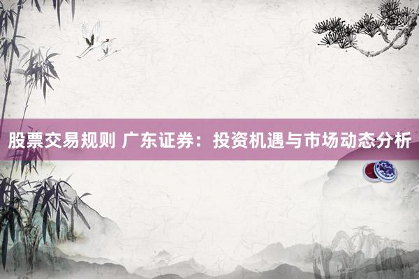 股票交易规则 广东证券：投资机遇与市场动态分析