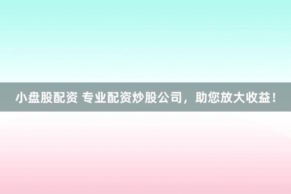 小盘股配资 专业配资炒股公司，助您放大收益！