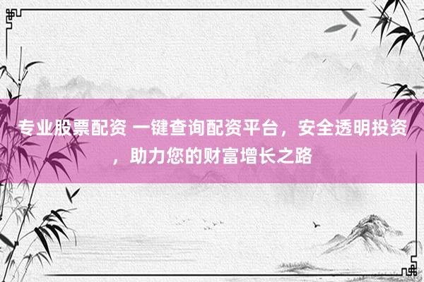 专业股票配资 一键查询配资平台，安全透明投资，助力您的财富增长之路