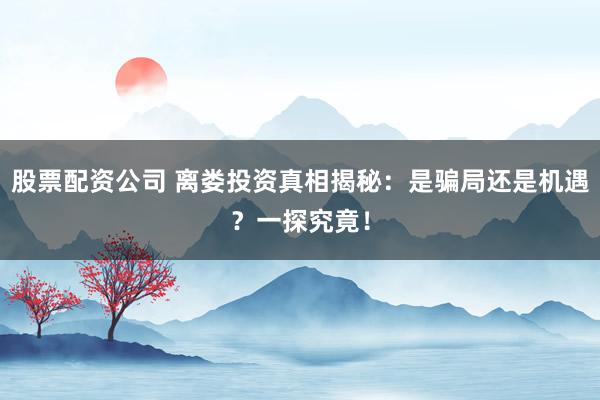 股票配资公司 离娄投资真相揭秘：是骗局还是机遇？一探究竟！