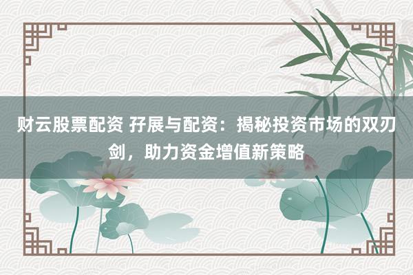 财云股票配资 孖展与配资：揭秘投资市场的双刃剑，助力资金增值新策略