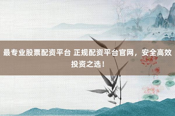 最专业股票配资平台 正规配资平台官网，安全高效投资之选！