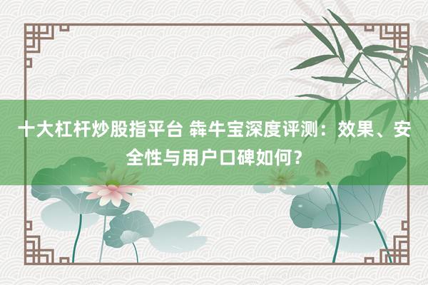 十大杠杆炒股指平台 犇牛宝深度评测：效果、安全性与用户口碑如何？