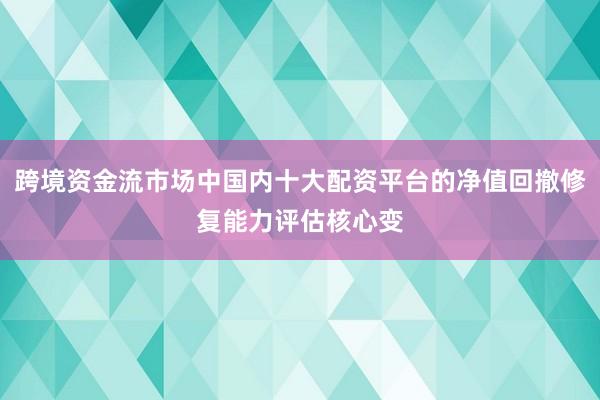 跨境资金流市场中国内十大配资平台的净值回撤修复能力评估核心变