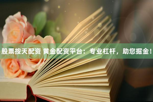 股票按天配资 黄金配资平台：专业杠杆，助您掘金！