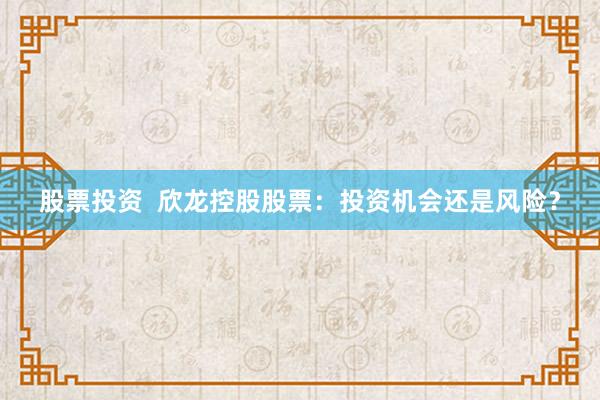 股票投资  欣龙控股股票：投资机会还是风险？
