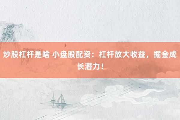 炒股杠杆是啥 小盘股配资：杠杆放大收益，掘金成长潜力！